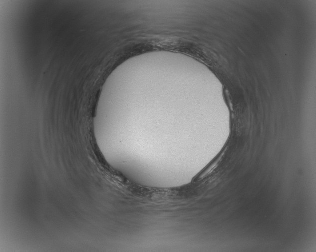 X0000082151345200702092140