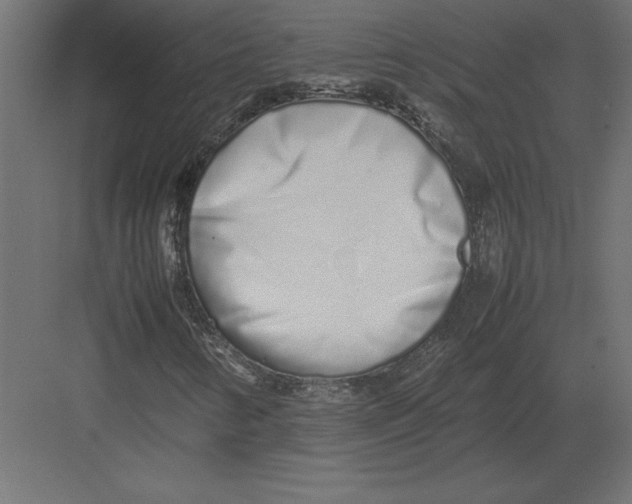 X0000082151346200702092140