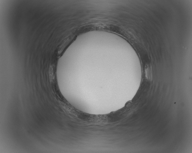 X0000082151347200702092140