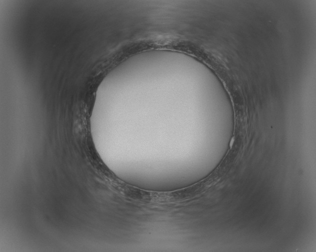 X0000082151349200702092140