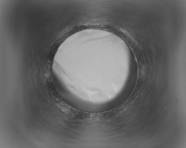 X0000082151350200702092140