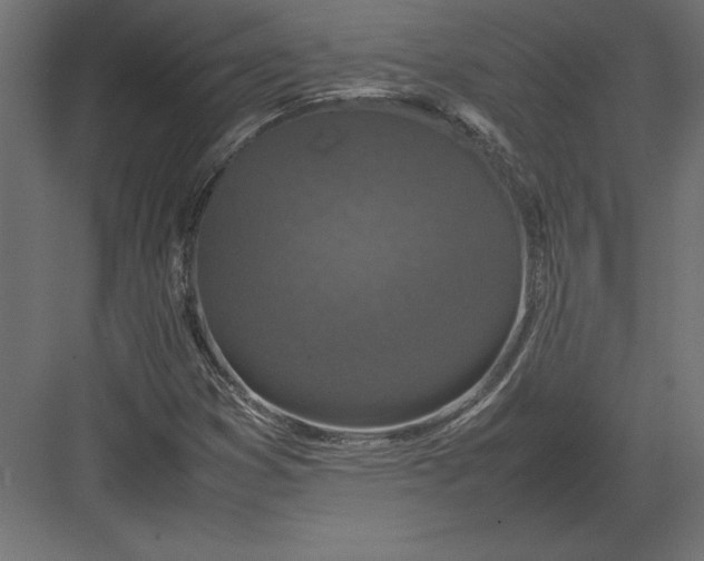 X0000082151353200702092140