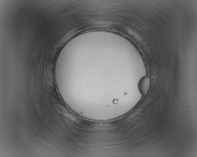 X0000082151354200702092140