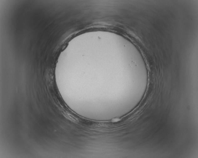 X0000082151355200702092140