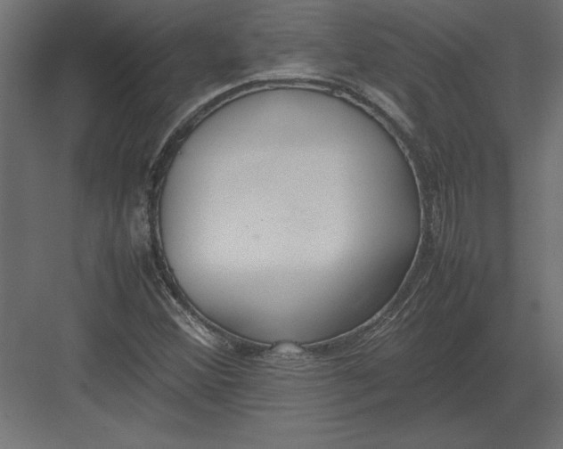 X0000082151356200702092140