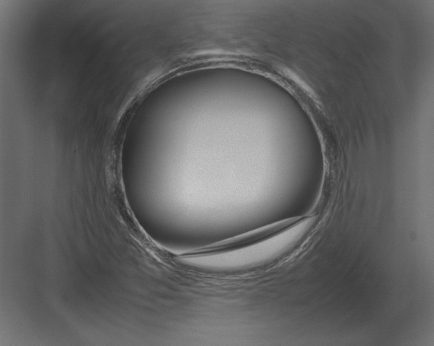 X0000082151357200702092140