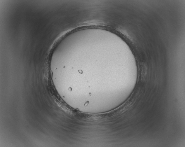 X0000082151358200702092140