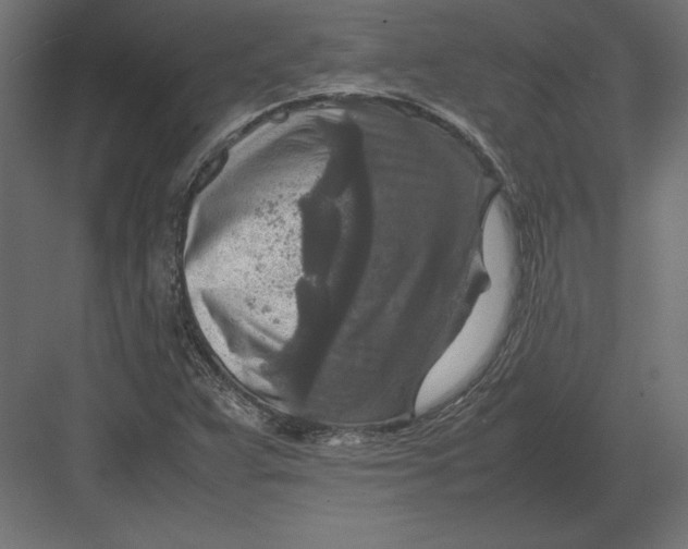 X0000082151359200702092140