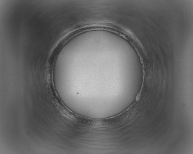 X0000082151360200702092140