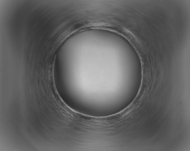 X0000082151361200702092140