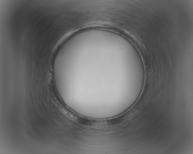 X0000082151363200702092140