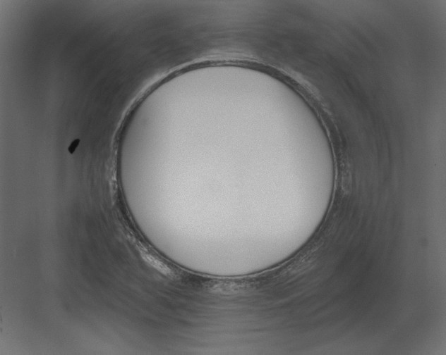 X0000082151366200702092140