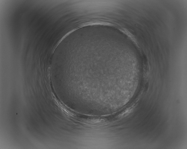 X0000082151369200702092140