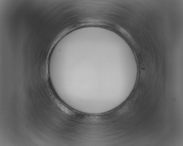 X0000082151370200702092140