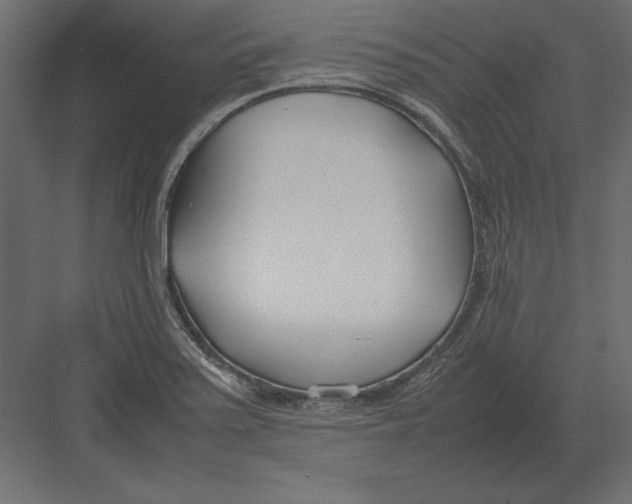 X0000082151371200702092140