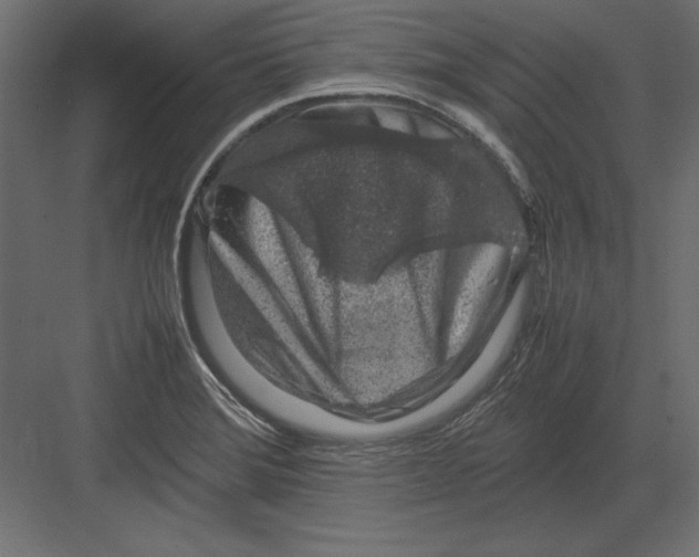 X0000082151372200702092140