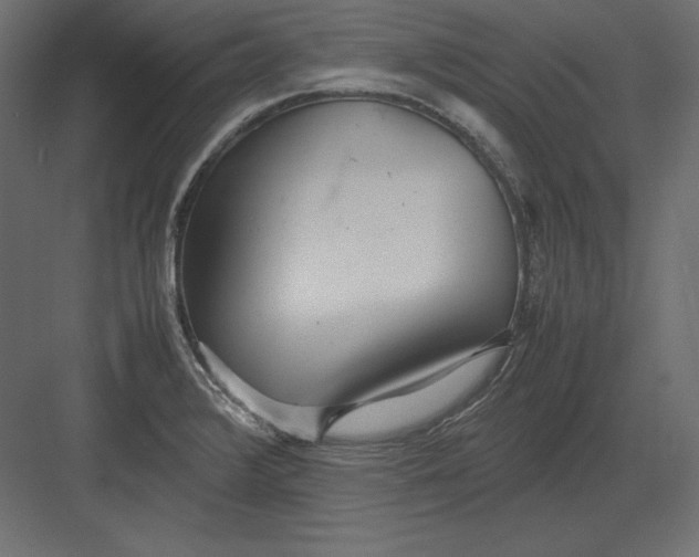 X0000082151376200702092140