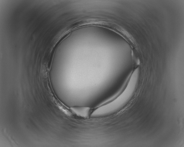 X0000082151377200702092140