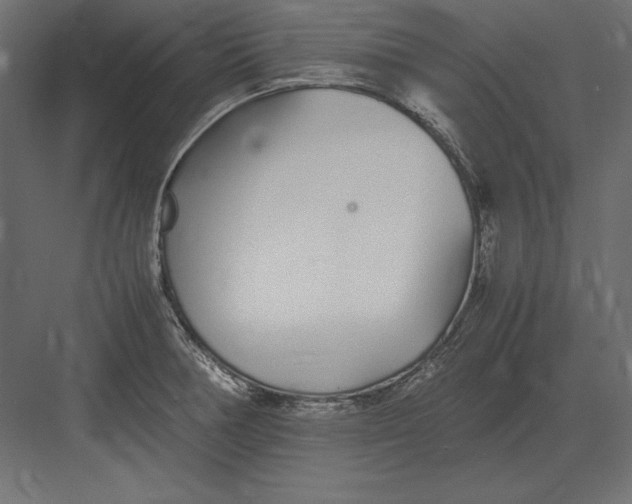 X0000082151378200702092140