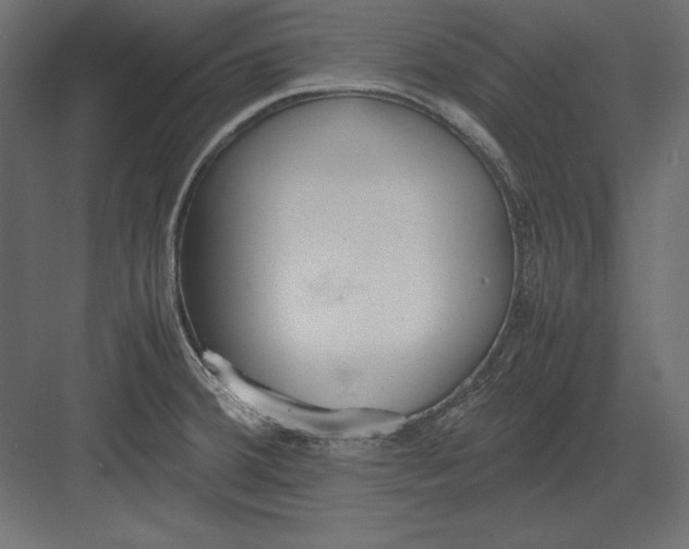 X0000082151380200702092140