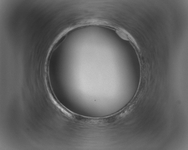 X0000082151381200702092140