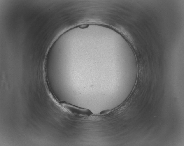 X0000082151382200702092140