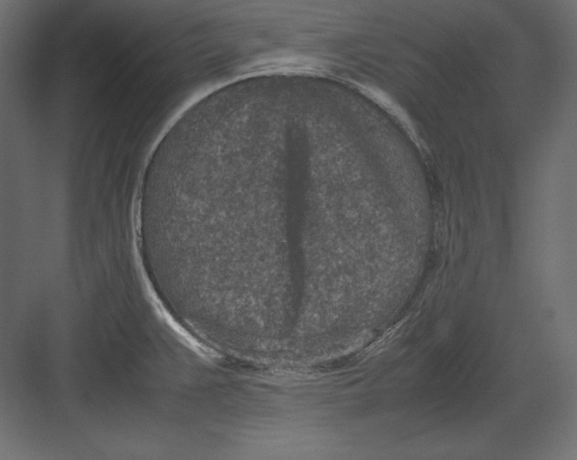 X0000082151383200702092140