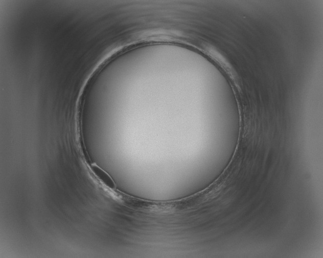 X0000082151384200702092140