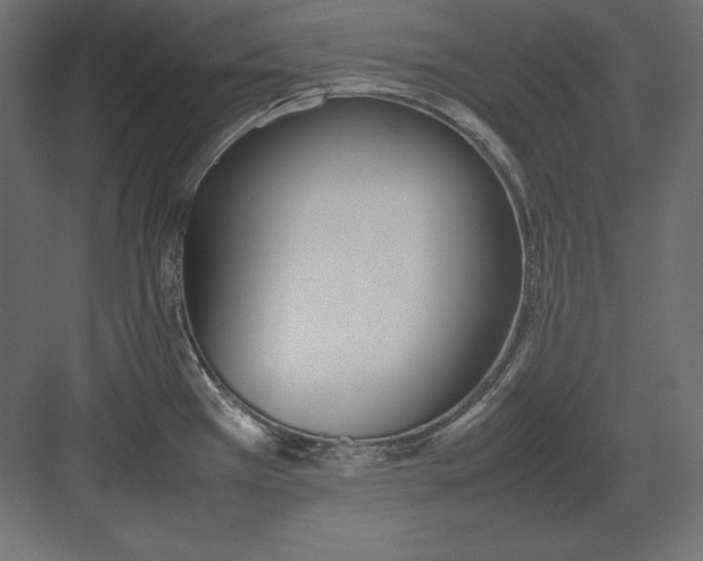 X0000082151385200702092140