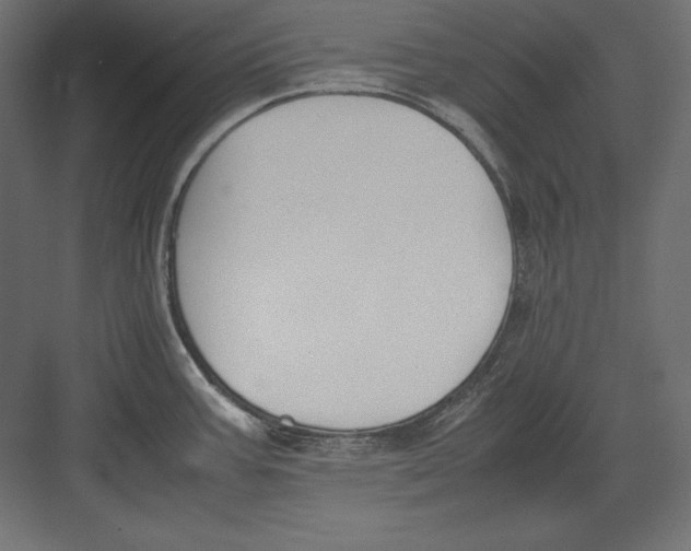 X0000082151387200702092140