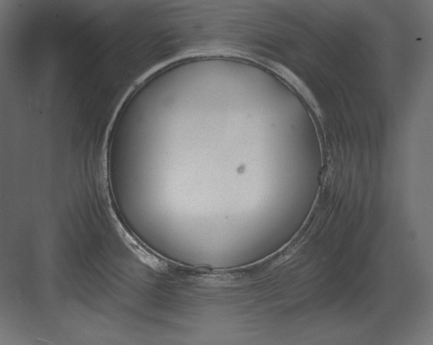 X0000082151388200702092140