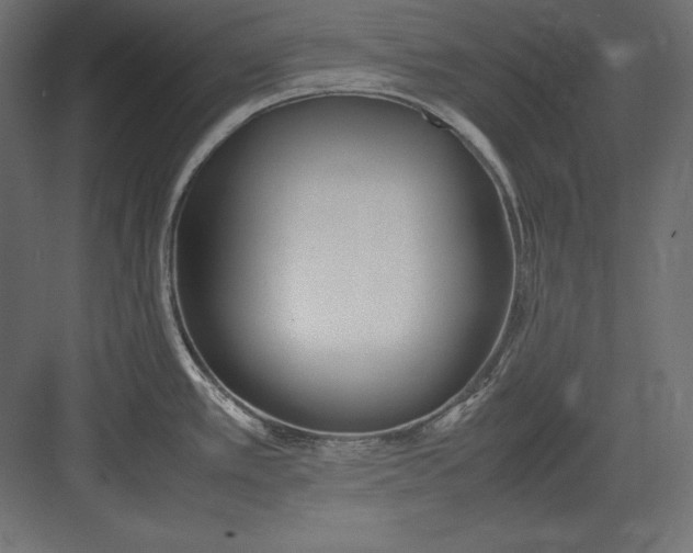 X0000082151389200702092140