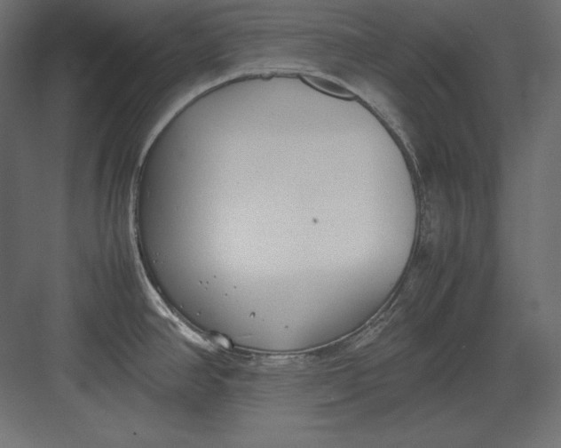 X0000082151390200702092140