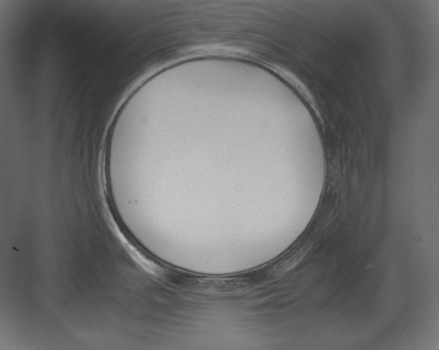 X0000082151391200702092140