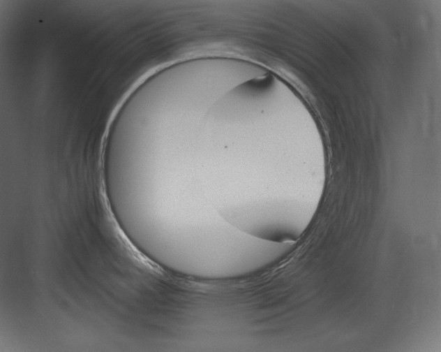 X0000082151392200702092140