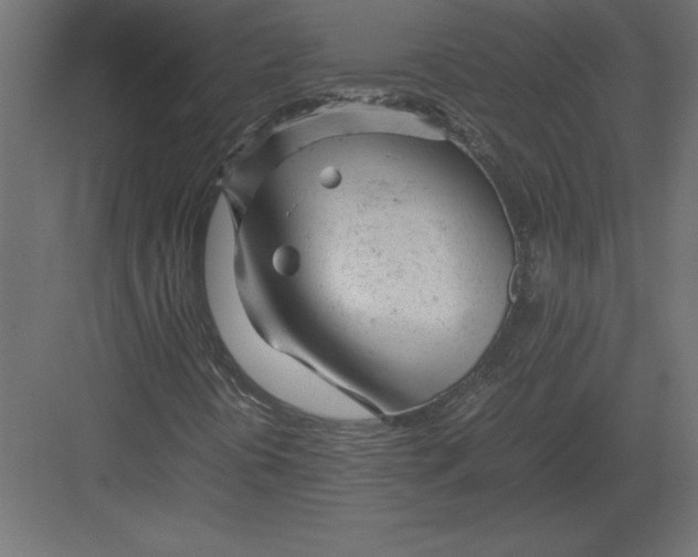 X0000082151394200702092139