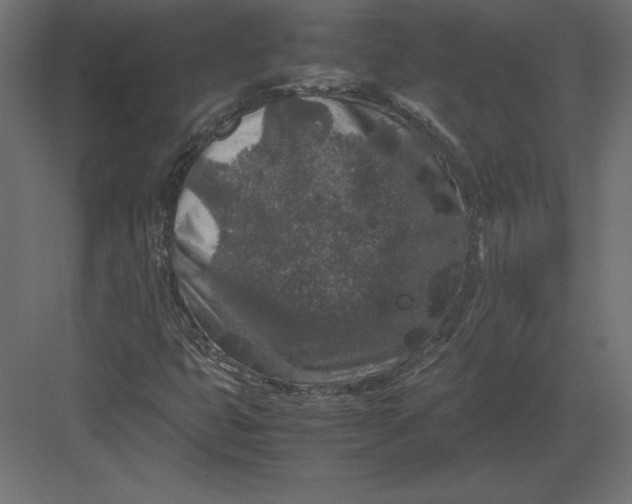 X0000082151399200702092139