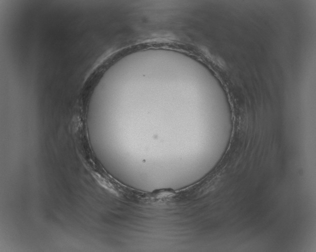 X0000082151400200702092139