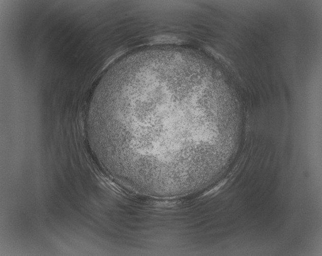 X0000082151401200702092139