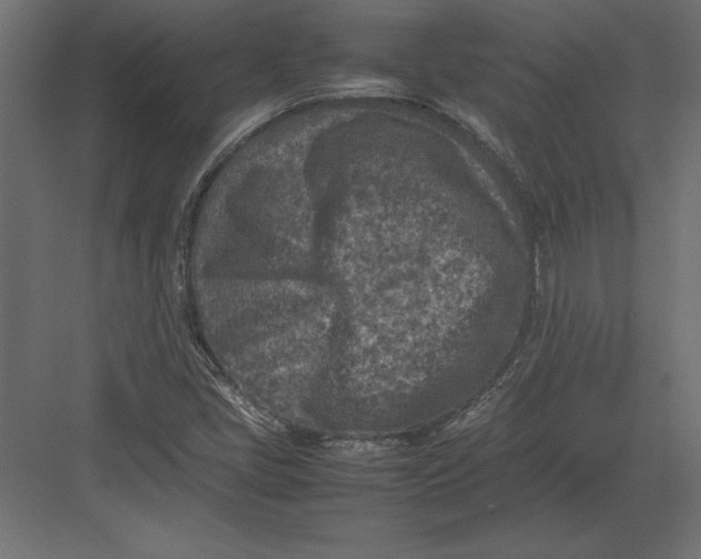 X0000082151405200702092139