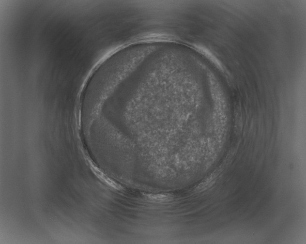 X0000082151413200702092139