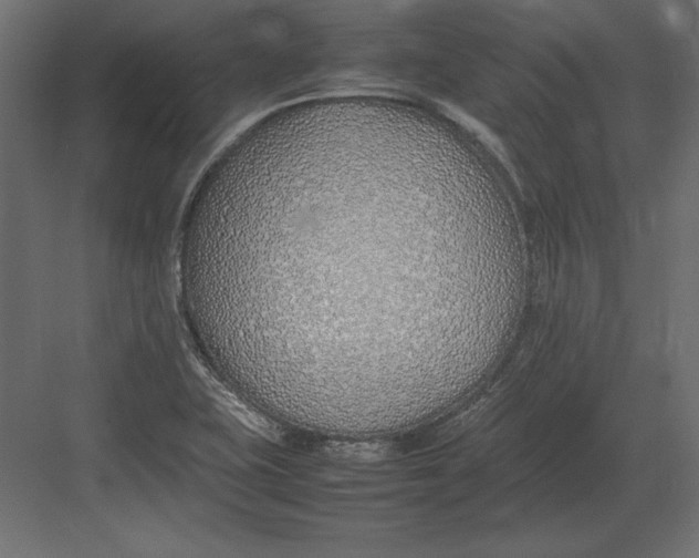 X0000082151415200702092139