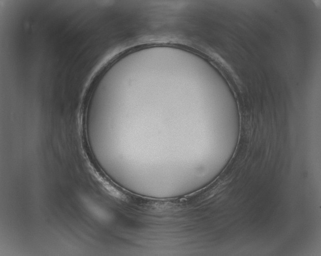 X0000082151416200702092139