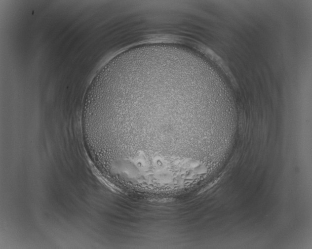 X0000082151417200702092139