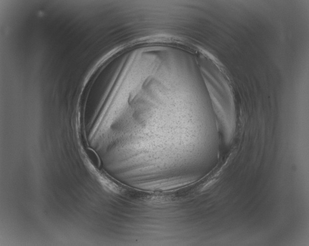 X0000082151418200702092139