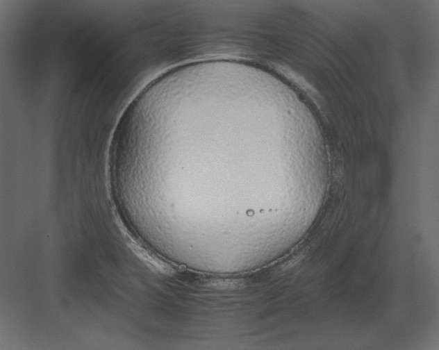 X0000082151423200702092139