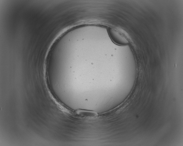 X0000082151424200702092139