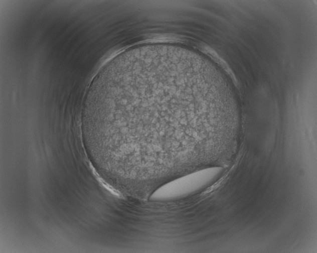 X0000082151425200702092139