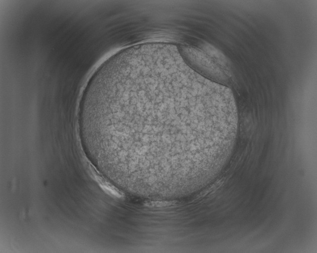 X0000082151427200702092139