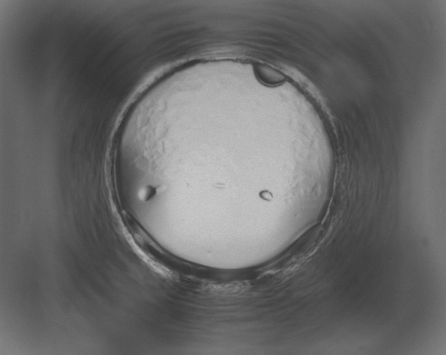 X0000082151429200702092139